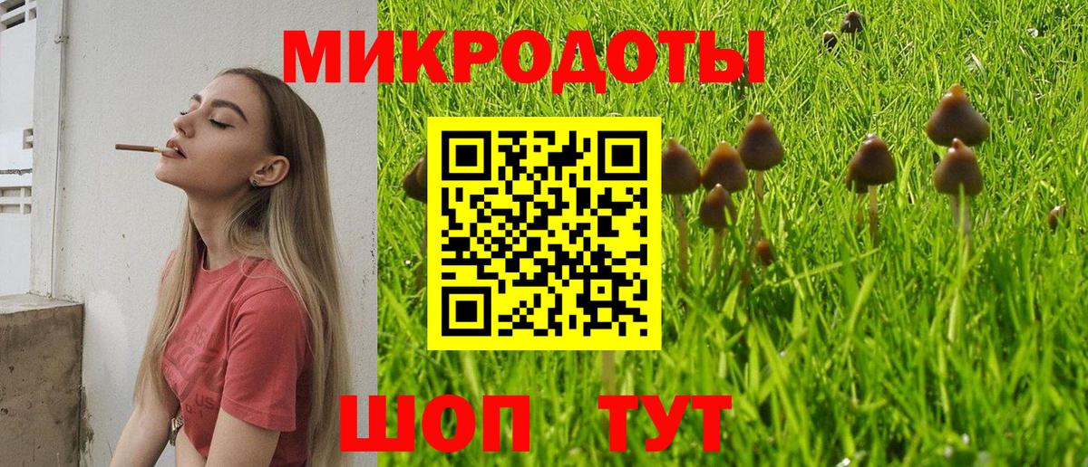 Галлюциногенные грибы Magic Shrooms  Вход с VPN  Армавир 