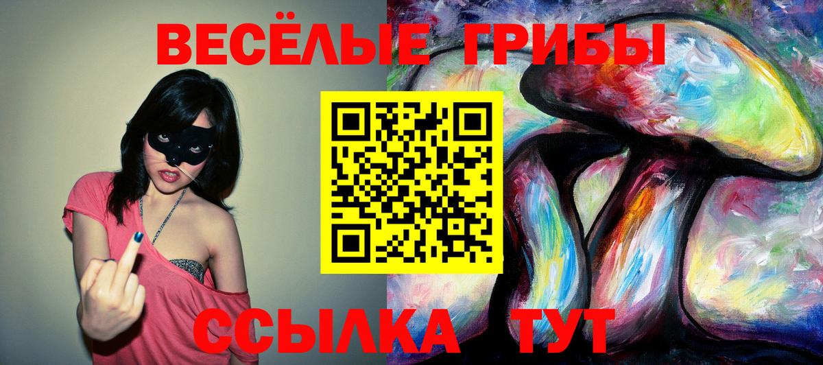Галлюциногенные грибы Magic Shrooms Армавир